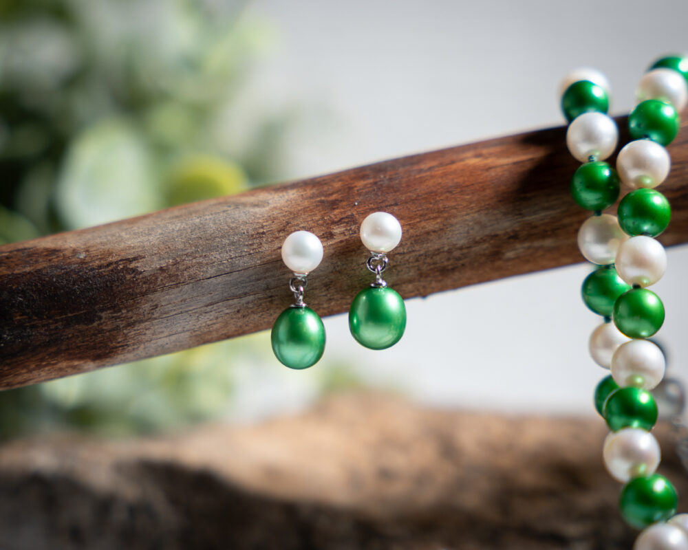 Michigan State Earrings