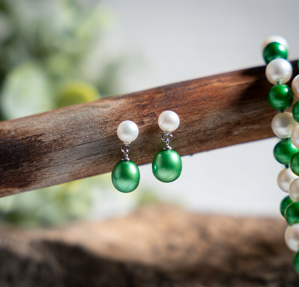 Michigan State Earrings